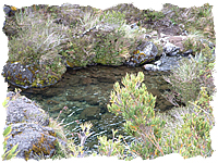 Chirripo rivers