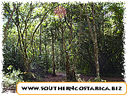 CORCOVADO NATIONAL PARK