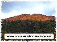 Golfo Dulce forest reserve
