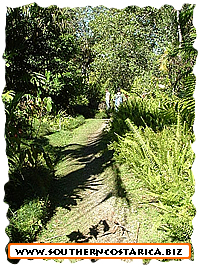 Trails  OF THE ROBERT AND CATHERINE WILSON BOTANICAL GARDENS
