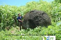 Precolumbian Stone Spheres in Costa Rica 5