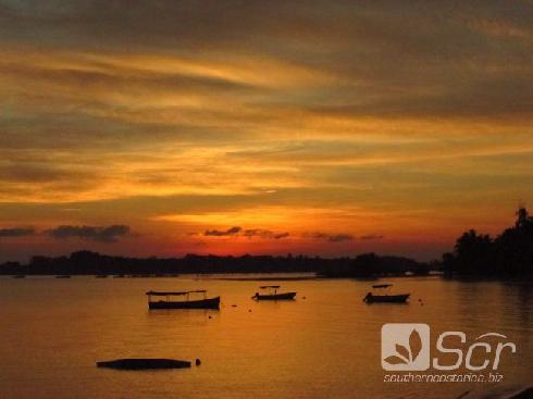 Visit Puerto Jimenez Osa Peninsula