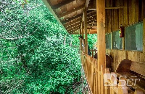 Los Campesinos Ecolodge in Quepos